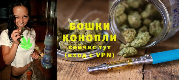 гидра Осинники