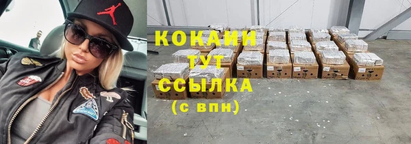 гашик Абинск