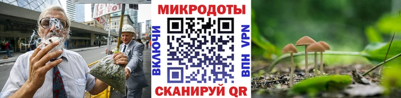 Псилоцибиновые грибы мухоморы  blacksprut ссылки  Змеиногорск 